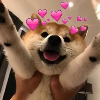 🥰 emoji Sreek's kang pack Vol.4 Telegram sticker 23 of 94