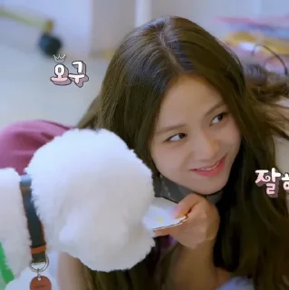 Sticker from JISOO V5 @PADJAJARANS
