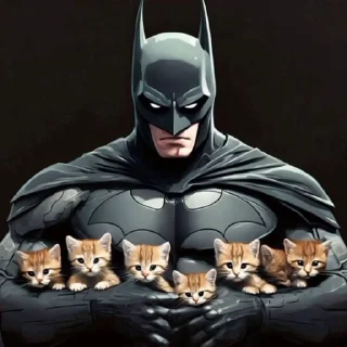🦇 emoji Batman ♡ Catwomen @Hanim1O Telegram sticker 10 of 100