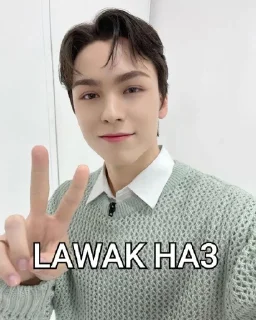 Sticker from SEVENTEEN GHIBAH