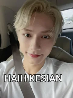 Sticker from SEVENTEEN GHIBAH