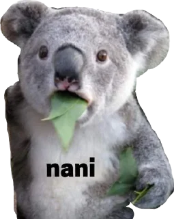 Sticker from Nani