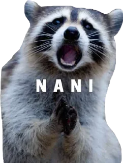 Sticker from Nani