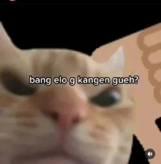 🌟 emoji Tikel penus, jan diambil pack by @QuotLyBot Telegram sticker 5 of 72