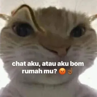 🌟 emoji Tikel penus, jan diambil pack by @QuotLyBot Telegram sticker 20 of 72