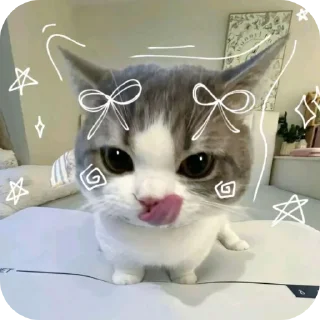 Sticker from Meoww