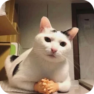 Sticker from Meoww