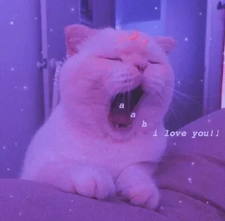 Sticker from Cute Cats