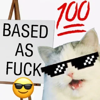 Sticker from Schizo arjun's pack