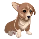 Sticker from corgi