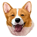 Sticker from corgi