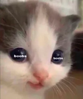 🌟 emoji 𝐗’𝐬 𝐩𝐚𝐜𝐤 {𝐓𝐇𝐂}4️⃣ Telegram sticker 22 of 120