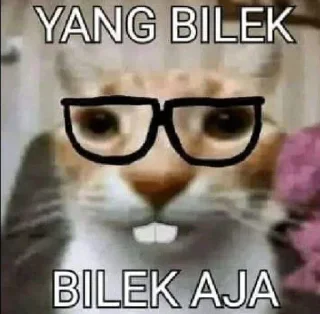 🤓 emoji Ini Jean Telegram sticker 20 of 21