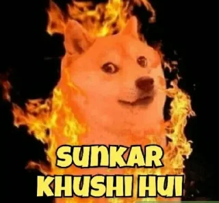 Sticker from @BAdDASS_FUFA DOGESH 🤬 2
