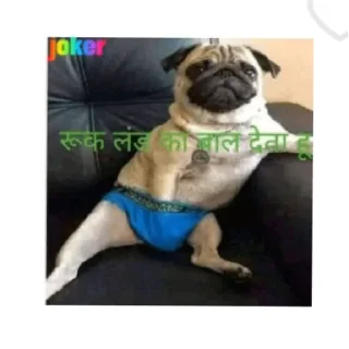 Sticker from Mahatma Gandhi d....y