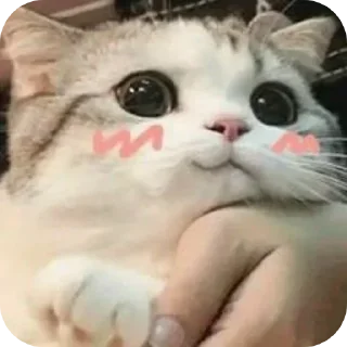 ❤ emoji ᴄᴀ͢͢͢ꜱ𝐃𝐑𝐈𝐅𝐓 ♛'s Sticker Pack (@Zeroo_Twoo_Bot) Telegram sticker 8 of 75