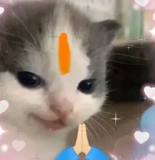 🙏 emoji Ãryáñ 🥀 ♚𝗧𝗵𝗲 𝗦𝗼𝘂𝗹 𝗔𝗿𝗺𝘆♚s kang pack Telegram sticker 4 of 37