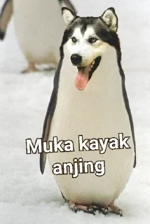 🌟 emoji KEGABUTAN DUNIA WIBU pack by @QuotLyBot Telegram sticker 10 of 19