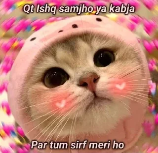 Sticker from Shahnawaz's sticker pack (@YaeMiko_Roxbot) 1