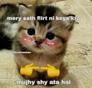 ❤️ emoji Shahnawaz's sticker pack (@YaeMiko_Roxbot) 1 Telegram sticker 23 of 47