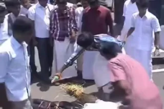 Sticker from @AnujSOfficial's Kang Pack (Video) Vol.7
