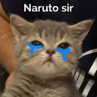 Sticker from Kashish's sticker pack (@SarcasticXBot)