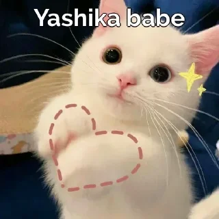Sticker from Kashish's sticker pack (@SarcasticXBot)