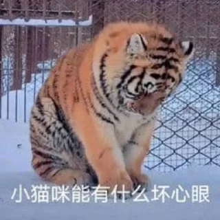 Sticker from 猫四的表情包2