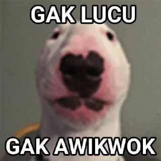 Sticker from ni awo awokawok