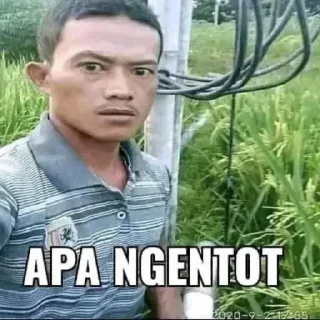 😊 emoji jangan tanya mengapa Telegram sticker 5 of 16