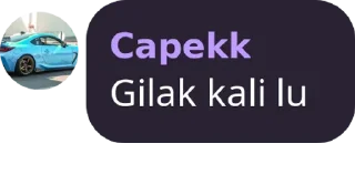 Sticker from Capekk