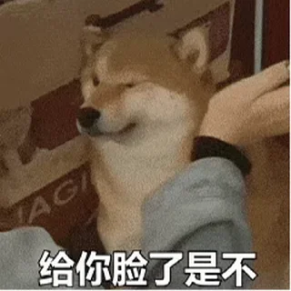 Sticker from 更多表情 @appmail 频道搜索 @S_Suo8