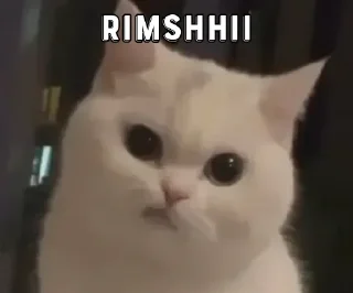 🙂 emoji Kashish's Sticker Pack (@Nobara_Xprobot) Telegram sticker 19 of 106