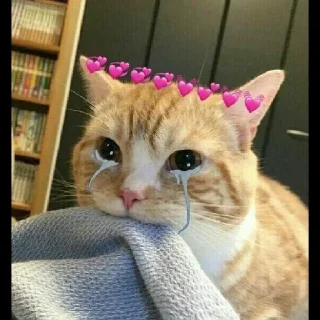 Sticker from Kitty cute