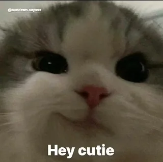 ✨ emoji Cute kitty @ManasTheKing Telegram sticker 2 of 120