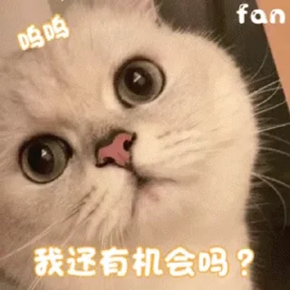 ⭐ emoji ♡ ᒪ∅ᐯᕮ ♡ @twmao8 •᷄ɞ•᷅ Telegram sticker 2 of 49