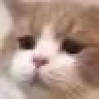 😃 emoji A MG 静态贴纸包(0) Telegram sticker 6 of 98
