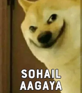 😏 emoji I̶̢̢̬̺͚͈̞̖̱͚͓̞̠̪͙͖̗̰̪͎̜̓̍͛.Sohail. I̶̬̺͚͈̞̖̱͚͓̞̓̍͛'s sticker pac Telegram sticker 14 of 80