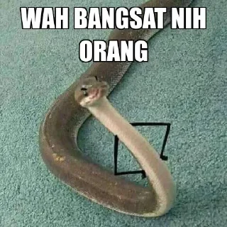 😒 emoji hasil curryan Bian Telegram sticker 1 of 116