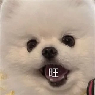 Sticker from 聋的传人👍🏻