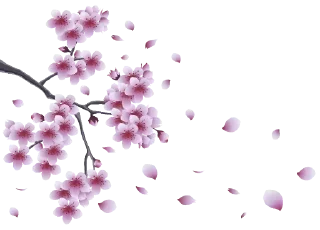 🌸 emoji 『@stickers_gifs_store』 Random pack ♥️🤍🌸🦋 — @stckrRobot Telegram sticker 5 of 85