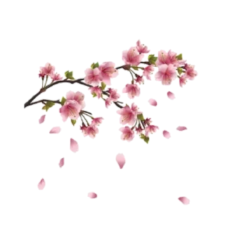 🌸 emoji 『@stickers_gifs_store』 Random pack ♥️🤍🌸🦋 — @stckrRobot Telegram sticker 8 of 85