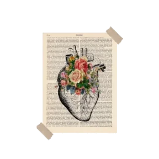 📜 emoji 『@stickers_gifs_store』 Random pack ♥️🤍🌸🦋 — @stckrRobot Telegram sticker 18 of 85