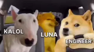 🏵 emoji @Luna9613's Pack 19 (Video) Telegram sticker 1 of 7