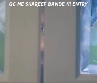 Sticker from sᴏʟᴅɪᴇʀ's video pack (@Mikasa_Ackr_bot) 1