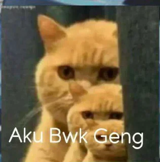 Sticker from 🤣🤣