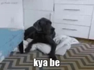Sticker from @Shivam_Patel's pack Vol.1