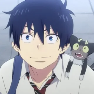 Sticker from Blue Exorcist~