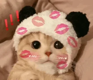 😭 emoji Yashika's Sticker Pack (@Nobara_Xprobot) Telegram sticker 7 of 43