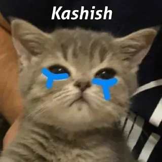 😑 emoji Yashika's Sticker Pack (@Nobara_Xprobot) Telegram sticker 21 of 43